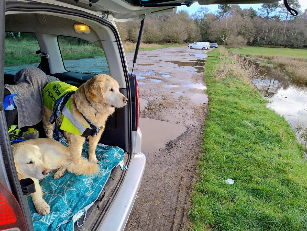 kitteridge_lisa's tweet photo. A strange yellow thing appeared in the sky! Plus frozen puddles everywhere. Crazy weather!
Fab quiet walk & apart from a labrador rushing towards us, Luca did well today with dogs we saw.๐๐ผ
Spot of dog watching in the โ๏ธ afterwards.
#finallystoppedraining
#gooddogwatching https://t.co/OdUpxHK3Xv