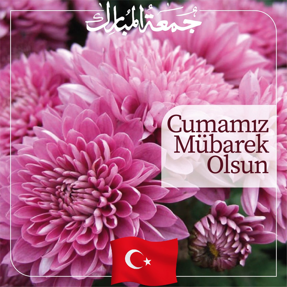 YhsYavuz (@yavuzyhs) on Twitter photo 