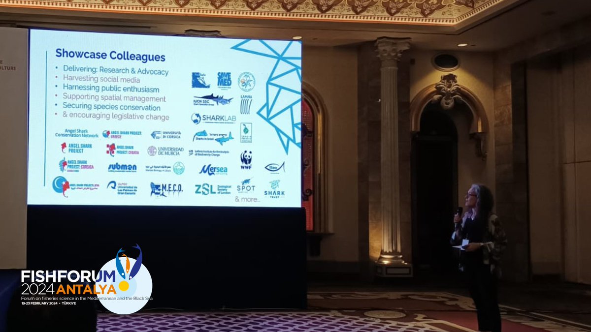 The Shark Trust tweet media