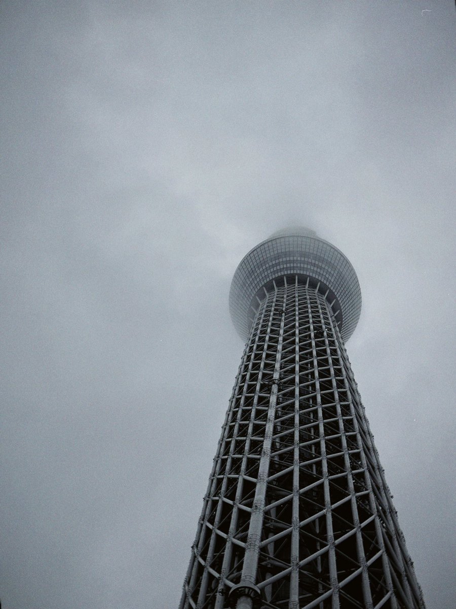 Japón con jamón 📖 tweet media