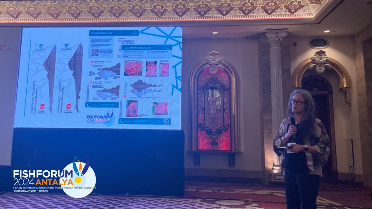 The Shark Trust tweet media