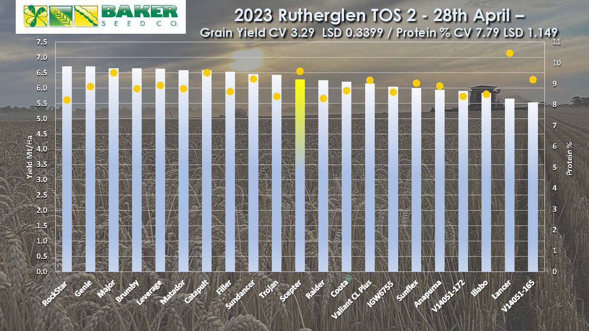 Aaron Giason (@azzaseed) on Twitter photo Introducing the new big hitters in Wheat for the Anzac Day sowing window! the optimal time for sowing Major, Leverage, Sundancer & Genie. This new genetics will keep you in front of your wheat seeding programme. For more info: bakerseedco.com.au/products/new-rβ¦ Introducing the new big hitters in Wheat for the Anzac Day sowing window! the optimal time for sowing Major, Leverage, Sundancer & Genie. This new genetics will keep you in front of your wheat seeding programme. For more info: bakerseedco.com.au/products/new-rβ¦