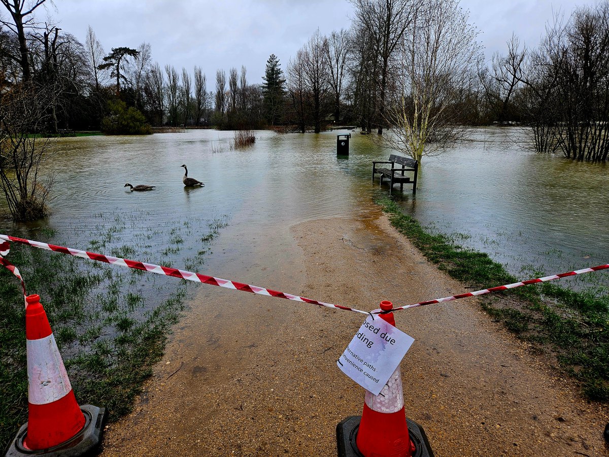 Sabine Hossenfelder tweet media