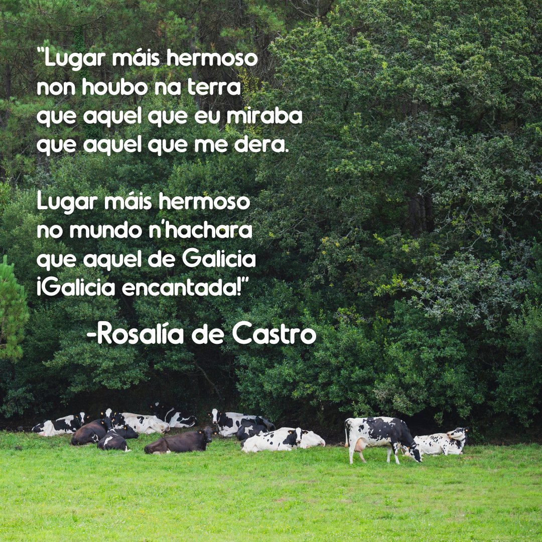 Hoxe é o #DíaDeRosalíaDeCastro , axúdasnos a encher as redes de versos fermosos coma este? 📝💚