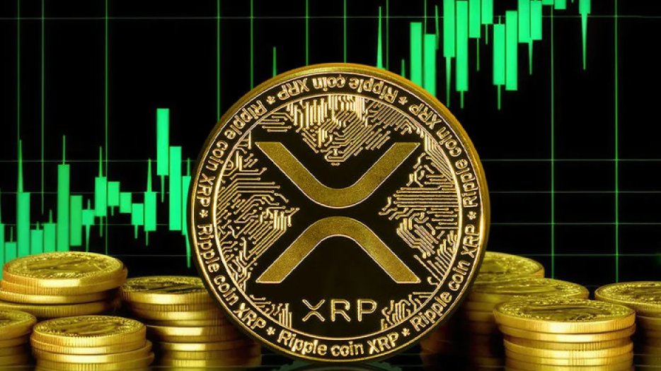 CryptoGeek tweet media