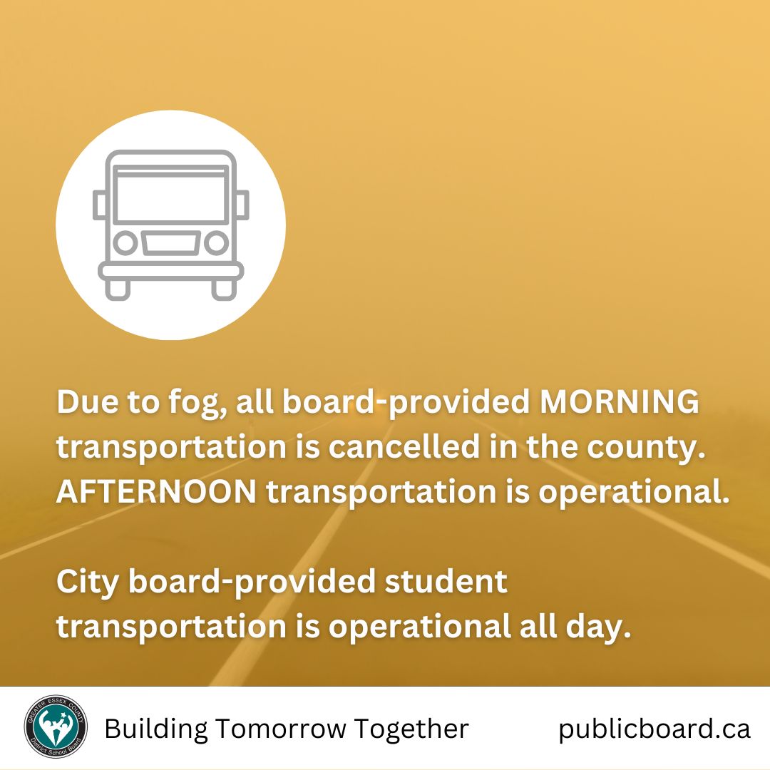 Due to fog, all board-provided MORNING transportation is cancelled in the county. AFTERNOON transportation is operational. Schools remain open. City board-provided student transportation is operational all day.