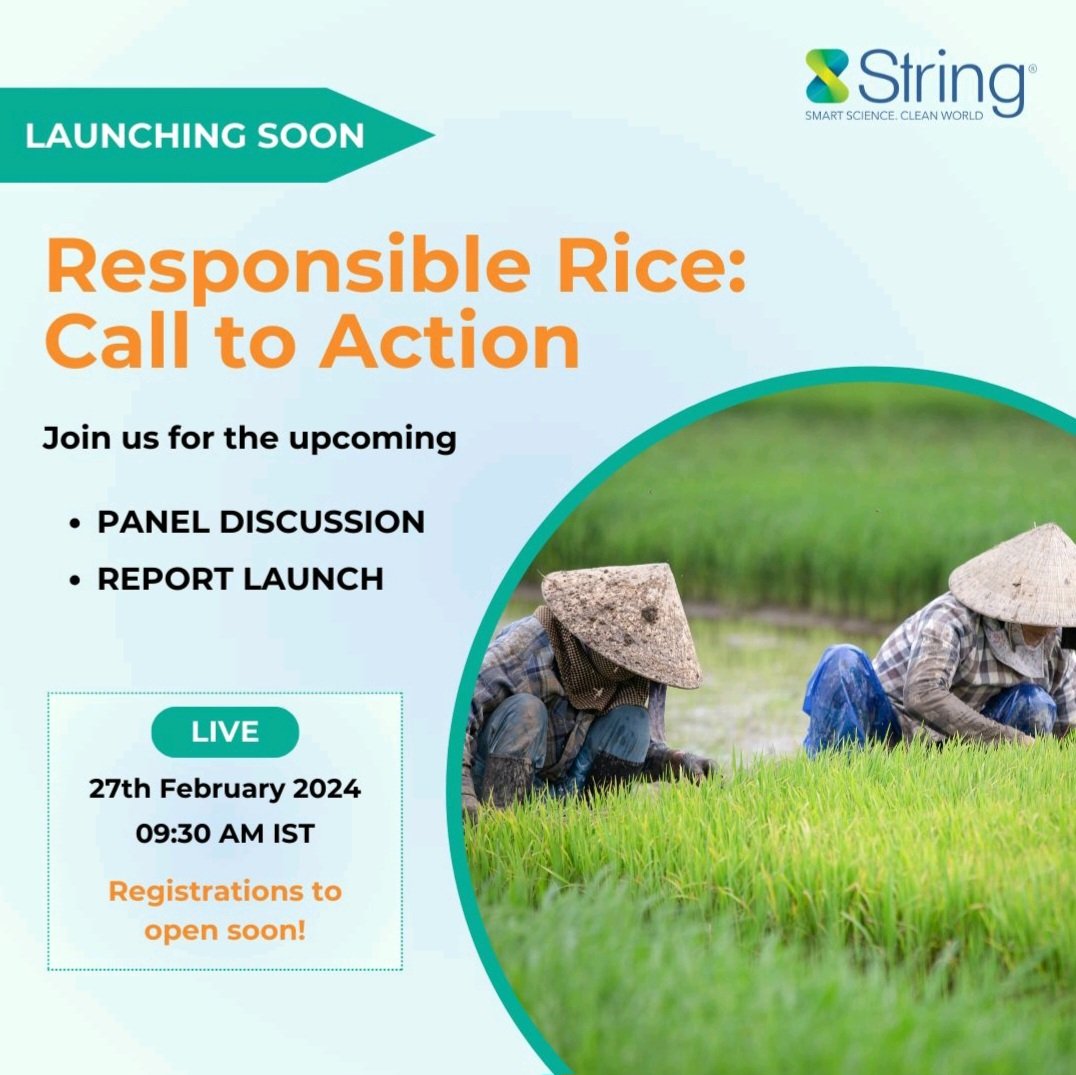 String Bio tweet media