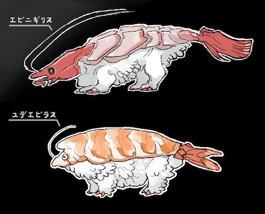 「animal shrimp」 illustration images(Latest)