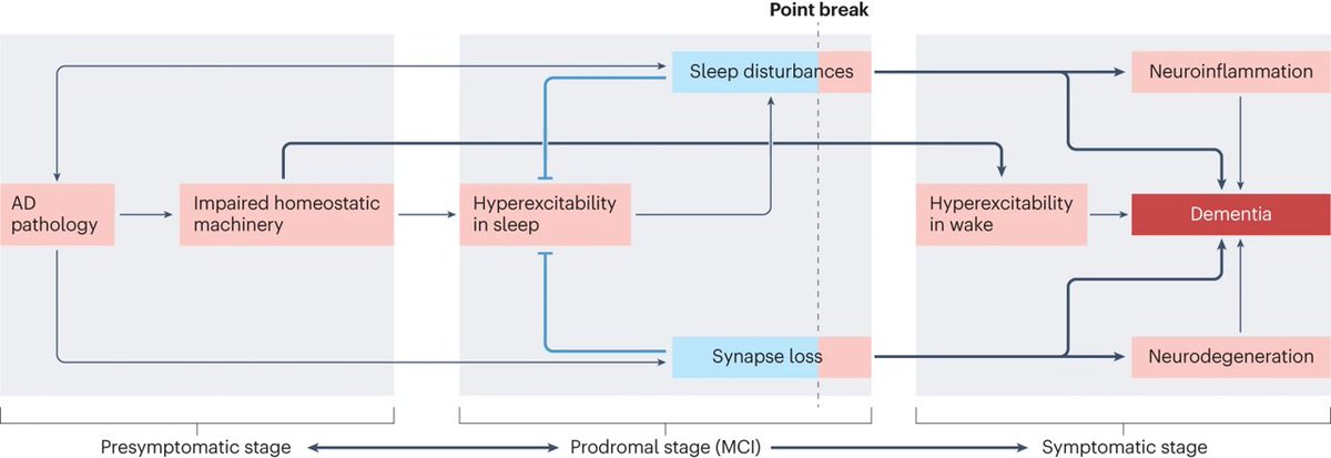 Linking activity dyshomeostasis and sleep disturbances in Alzheimer disease — a Perspective by Inna Slutsky (@inna_slutsky) go.nature.com/42O1wKu