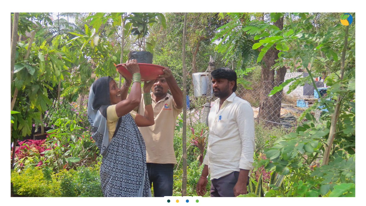 WOTRIndia's tweet image. 4/4 Today, just two months later, Babulgaon&apos;s botanical garden flourishes with over 2,500 plants, providing sanctuary to local flora and fauna. It features diverse patches like rose, medicinal, butterfly, honeybee, cactus, and others.

#WOTR4Development #WOTRat30