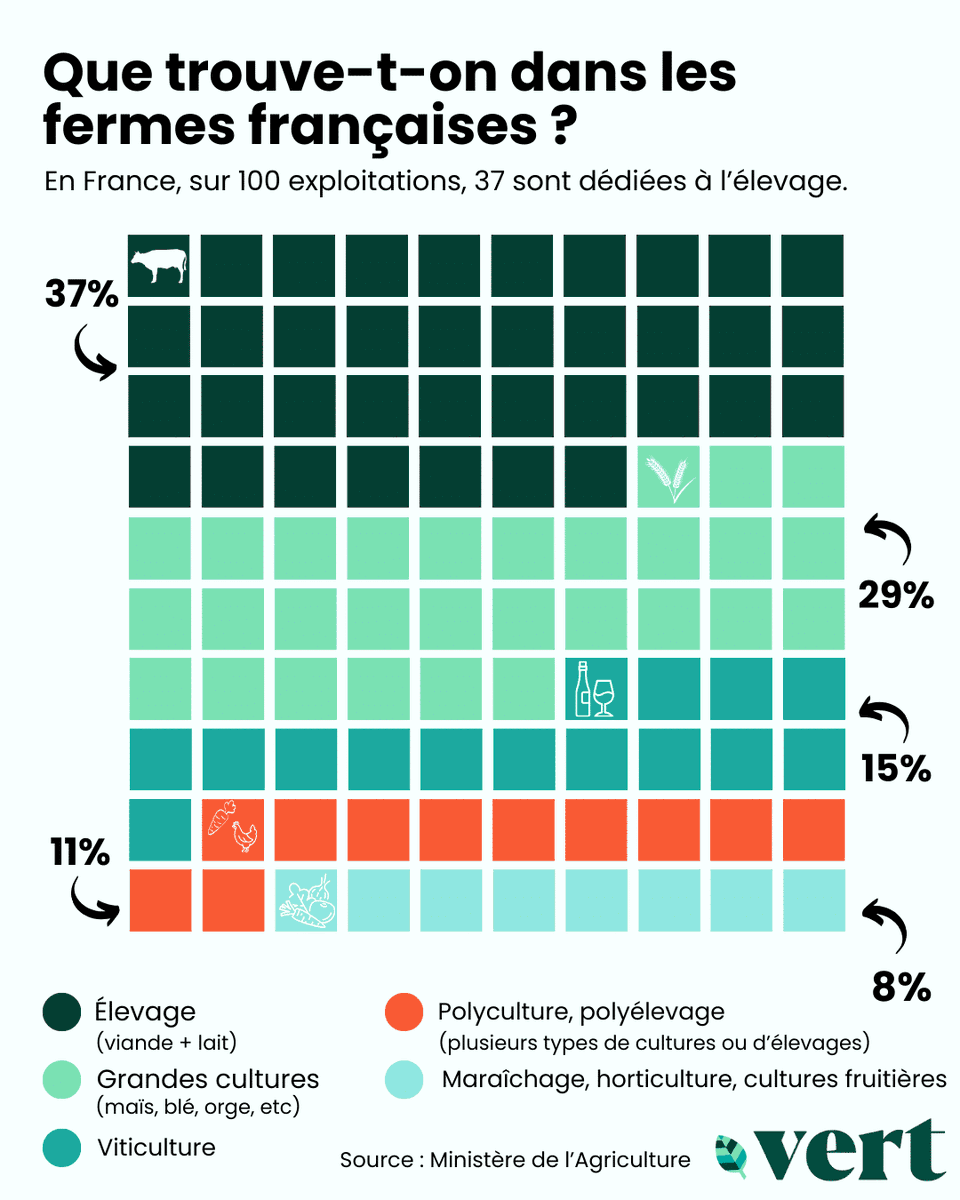 Moins nombreux, plus vieux, moins de femmes... qui sont les agriculteurs en France ? Et que produisent-ils dans leurs fermes ?

À la veille du début du Salon de l'agriculture, <a href="/Vert_le_media/">vert</a> a décidé de leur tirer le portrait en quelques infographies.
👉 vert.eco/articles/age-r…