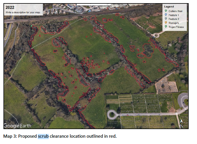 Bristol Tree Forum 🍃💚🍃 tweet media