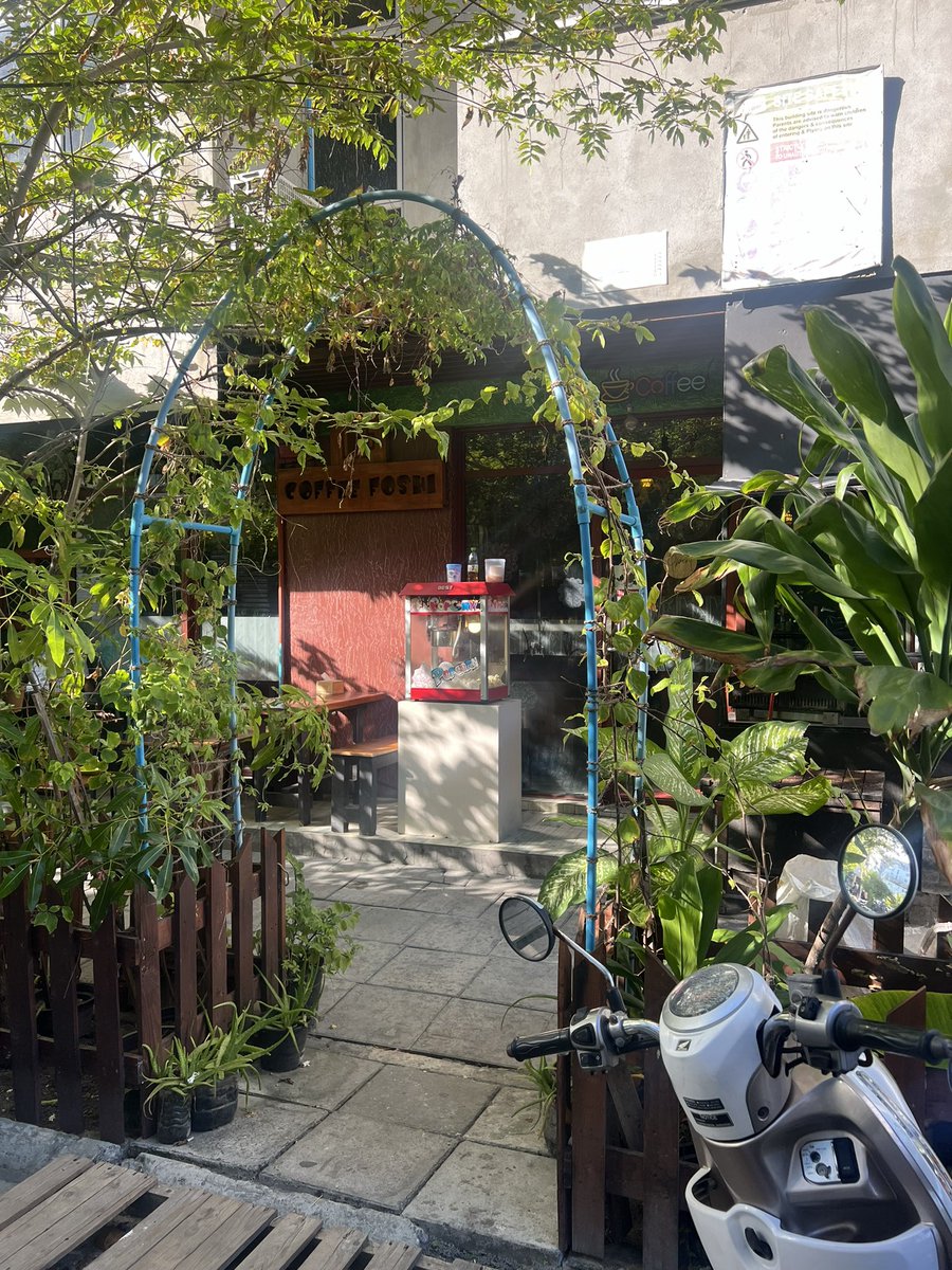 LiuuAishath's tweet image. This place offers the best milkshakes at the most affordable prices. Fresh juice is just 15rf, and the milkshake is priced at 45rf. I recommend trying the Kashikeyo milkshake 😌 

Just showing support for the owner of this cafe, Dhaththa ♥️🫶🏽