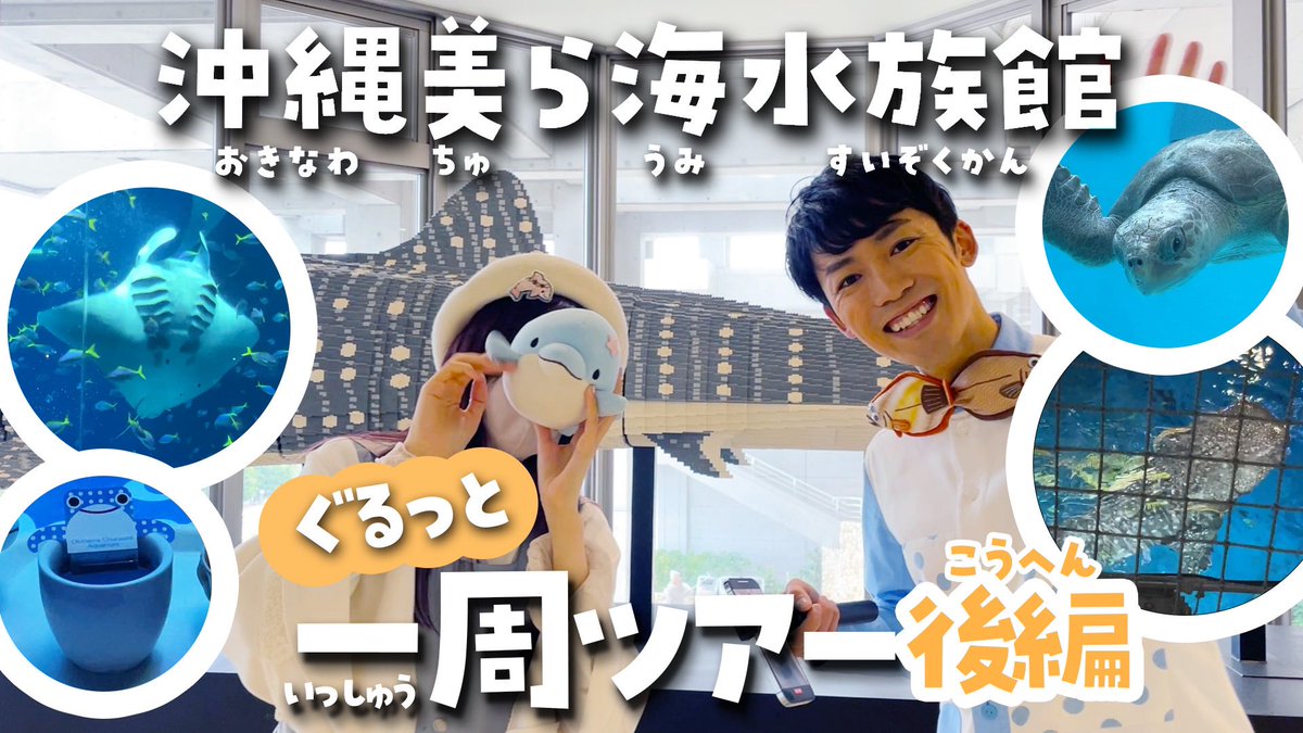 さかなのおにいさん かわちゃん on X: さかなのおにいさん かわちゃん on X: