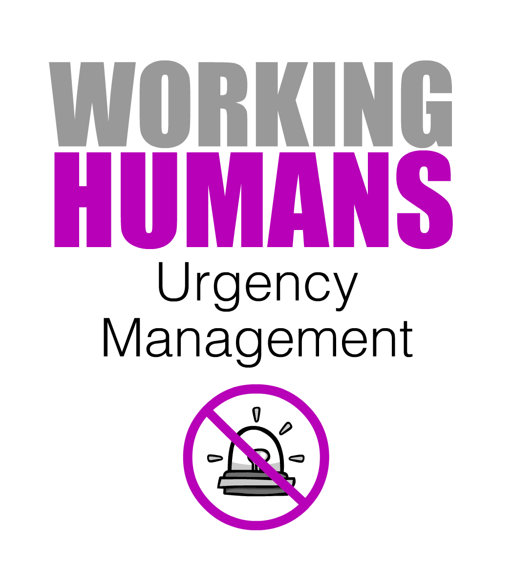 Fiona Passantino (Working Humans) tweet media