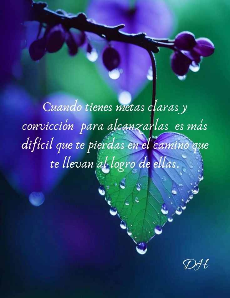 EJasminC's tweet photo. #BuenosDias
#FelizViernes
Todos los días son bellos, si te levantas con ganas de vivir;xq la vida es para abrigar sueños, y esperanzas,haciendo de nuestra FE la mayor inspiración y viendo en las pequeñas cosas una razón para ser feliz.
#BendicionesParaTi
#FelizDia
#23Feb https://t.co/hczUQSokVZ