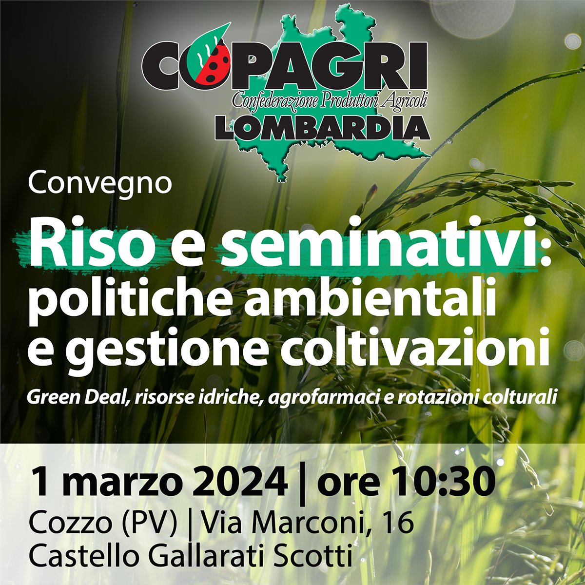 Copagri's tweet photo. “#Riso e #seminativi: politiche ambientali e gestione coltivazioni” al centro di un convegno organizzato dalla @CopagriLomb per l'1/03 a #Cozzo (PV).

Interviene sottosegretario @SocialMasaf @LaPietraSenato; conclude presidente #Copagri @TBattistat.

https://t.co/VHekV2RCgm https://t.co/oE8RN5Cvd3