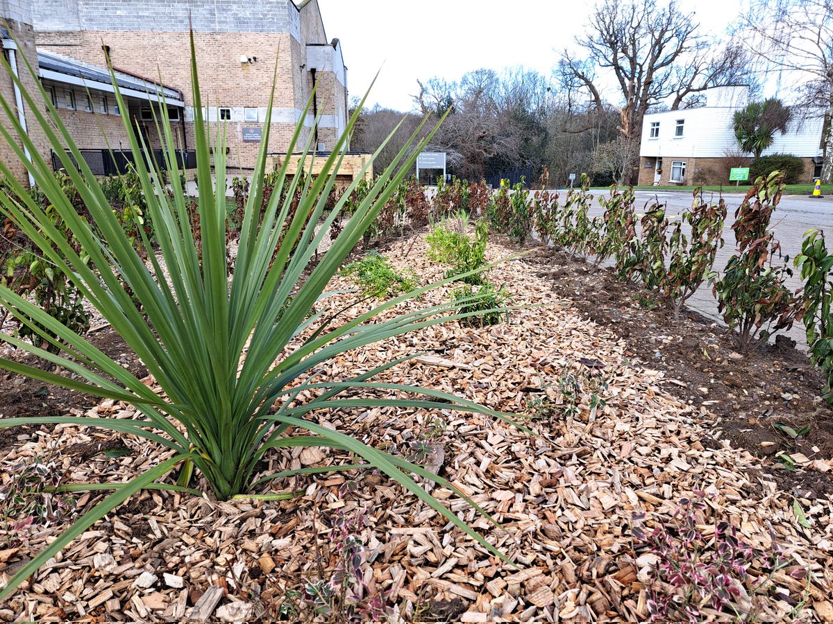 Glen the IHS Groundsman tweet media