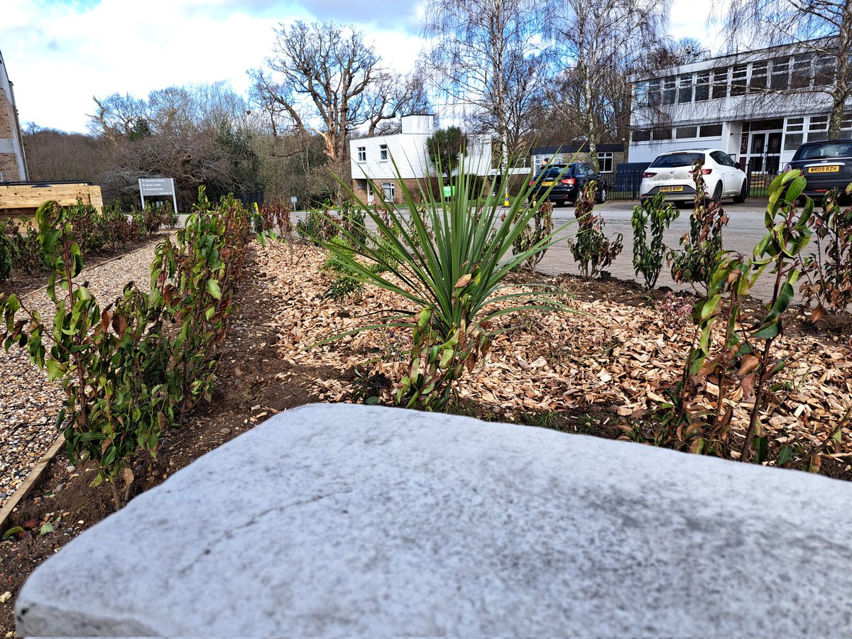 Glen the IHS Groundsman tweet media