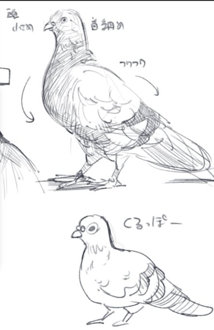 ハトハトハトハト 