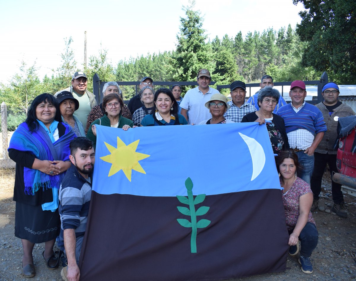 Comunidades Mapuche Williche en San Pablo paralizan indefinidamente faenas forestales exigiendo el respeto de sus derechos mapuexpress.org/2024/02/23/com…