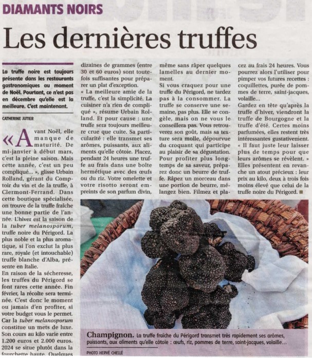 🌳 Les Truffières du Berry 🌳 (@lestruffieresd2) on Twitter photo 