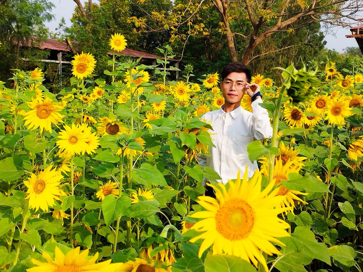 yellminnsoe's tweet image. မခူးရက်ပါဘူး 

သူ့အပင် သူ့အကိုင်းနဲ့

သူရဲ့ နဂိုလှနေတာလေးကိုပဲ 

ပိုပြီး သဘောကျတယ်။

#credittoowner 
#ပုရစ်