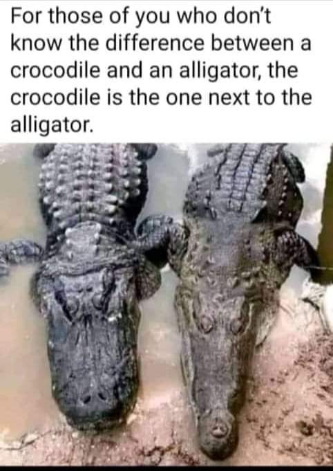 Muhammad77678's tweet image. Follow me to get follow back 💯💯💯💯💯💯💯💯
#PakistanUnderFascism 
#ImranRiazKhan 
#Avive #AviveWorld #gntm #XiaoZhanxTodsMFW24