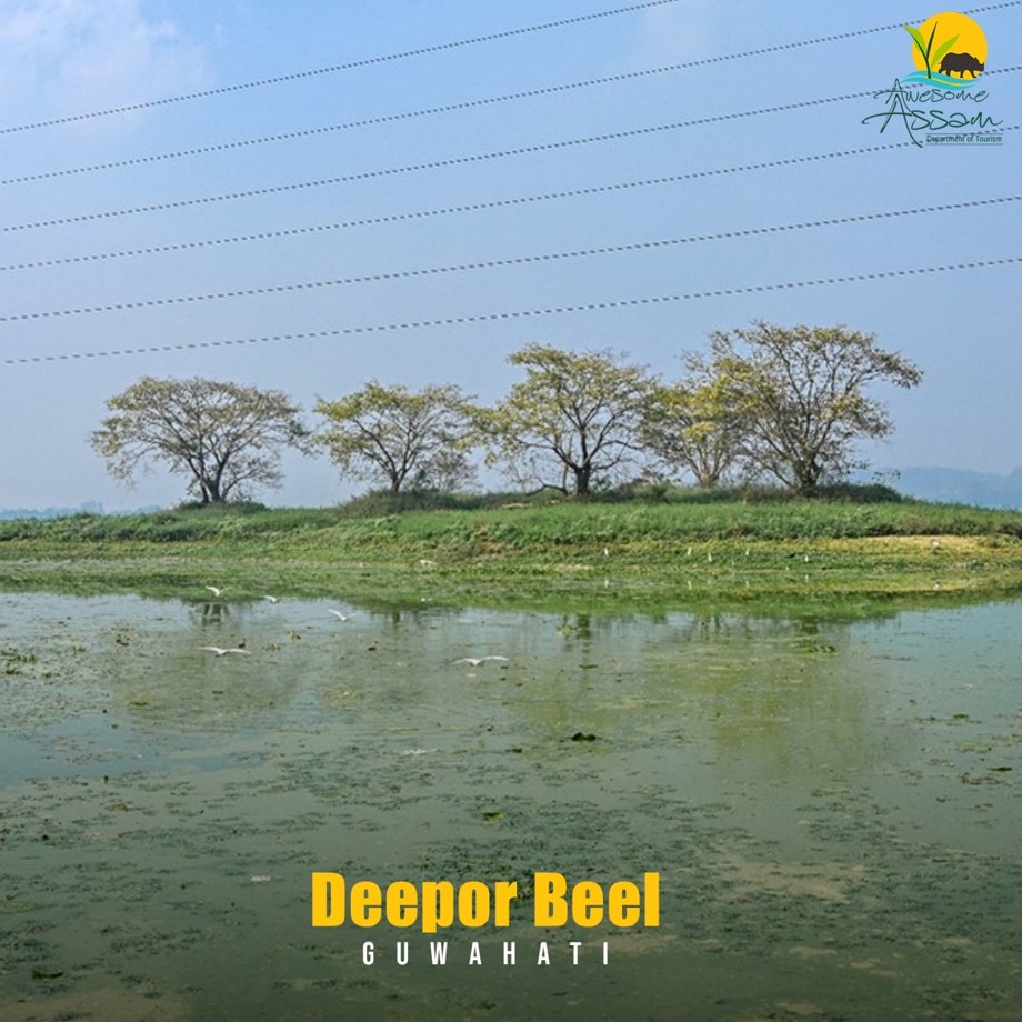 Deepor Beel, a permanent freshwater lake, is the only Ramsar site in Assam. Visiting this stunning lake, surrounded by undulating forests and verdant greenery, is truly a sight to behold.

#AwesomeAssam #AssamTourism #AmazingAssam #Assam #DeeporBeel #RamsarSite #FreshWaterLake…