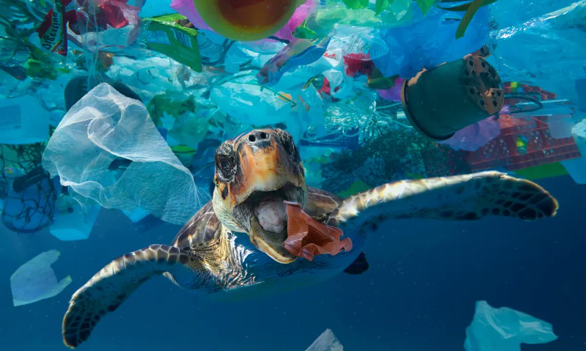 This picture, taken by the Guardian shows we need to start recycling and working together. Lets start now to make the world a happier place.💚🌲 #Recycling
#Recycle
#ReduceReuseRecycle
#SustainableLiving
#ZeroWaste
#GreenLiving
#EcoFriendly
#WasteManagement
#PlasticFree
#GoGreen