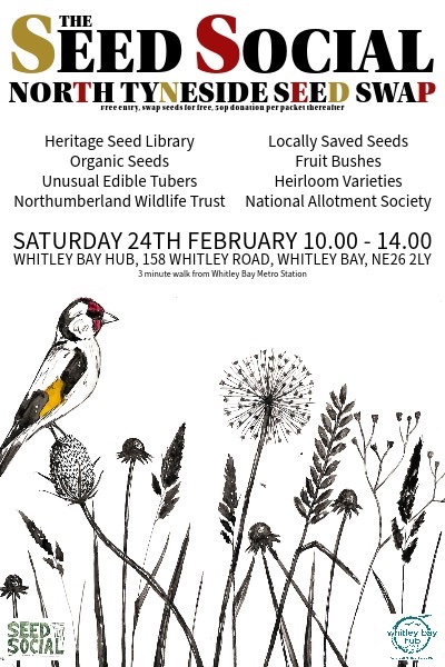 EVERYONE WELCOME tomorrow at Whitley Bay Hub for our second annual seed swap!! @wbaybiglocal #whitleybay #northtyneside 🫘 🌱 🌻 🍅 ☀️