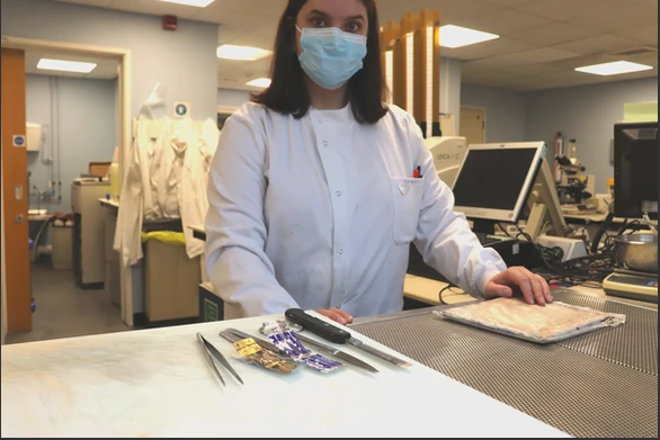 IBMS #AtTheHeartOfHealthcare tweet media