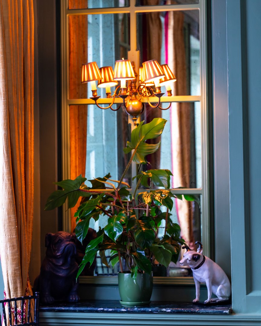 Apart from snails, we have quite a lot of dogs around the place. Here’s Nipper and Dave the bulldog hiding behind a calathea! 

#londonrestaurants #london #sohorestaurant #frenchfoodlondon #frenchrestaurantsoho #artdecorrestaurant #dogfriendlylondon