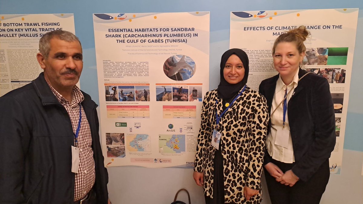 Thrilled to meet young scientist attending the #GFCM Fish Forum. Proud that @WWF_Med could support the participation of young researchers like Rihab Louhichi at the GFCM Fish Forum 2024. #nextgeneration #sharkresearch #sandbarshark #gulfofgabes