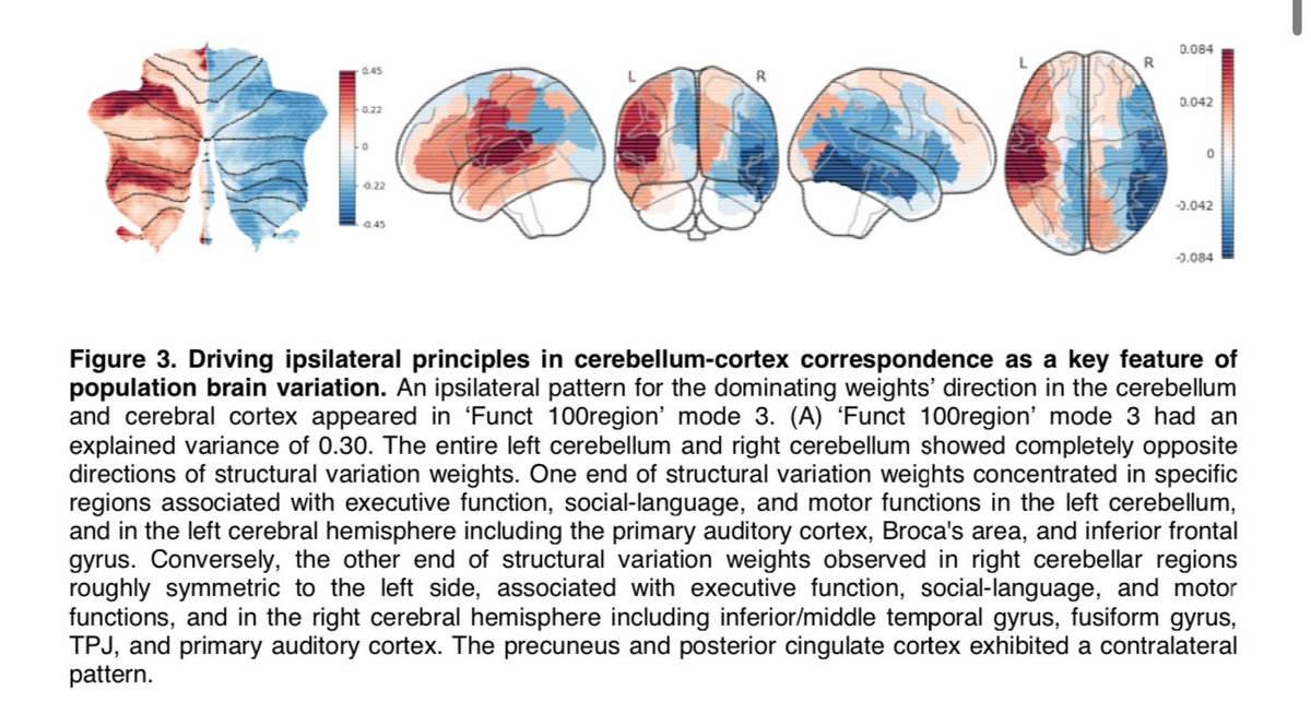 New preprint out, led by Zilong in our team: the #cerebellum contributes to human defining classes of cognition, not just motor action we identify a new ipsilateral (!) motif of cerebellum-cortex interplay biorxiv.org/content/10.110… Thanks for collaborating w/ @bttyeo,…