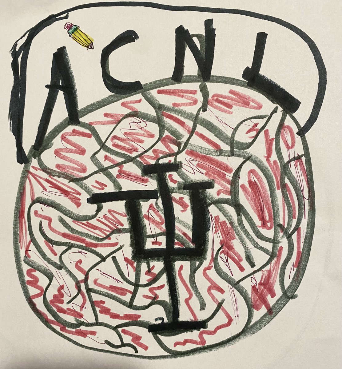 Bidelman Auditory Cognitive Neuroscience Lab tweet media