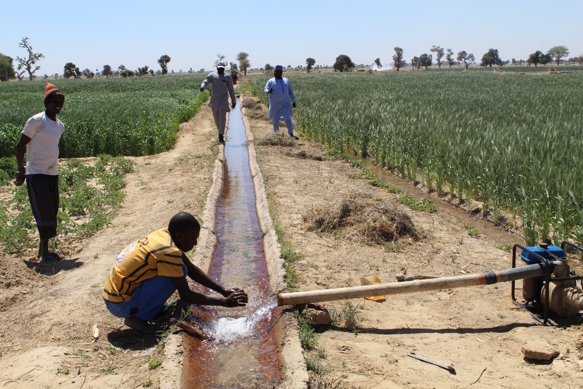 WHH Niger-Welthungerhilfe tweet media