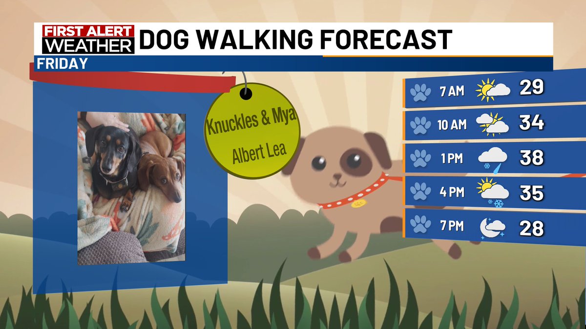 It's a breezy and cold day for a dog walk. Expect a few snow showers or sprinkles in the afternoon with cold north winds and high temps in the upper 30s. Wind chill values will be in the 20s. #DogWalkingForecast #kttcwx #AlbertLeaMN