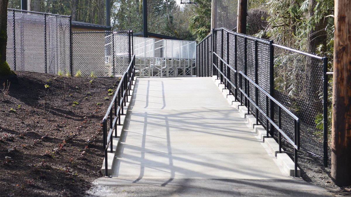 L&C River Otters tweet media