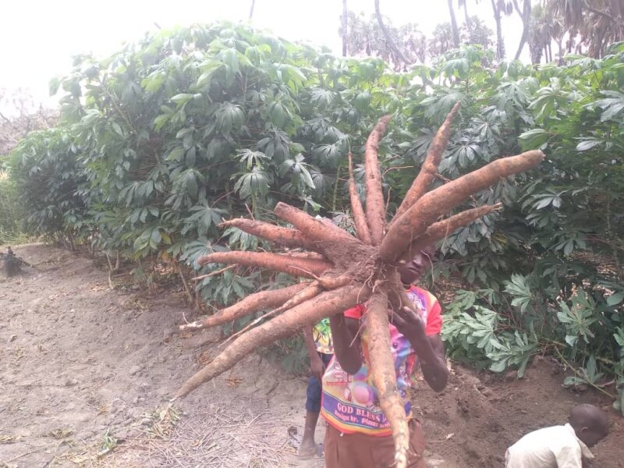 WHH Niger-Welthungerhilfe tweet media