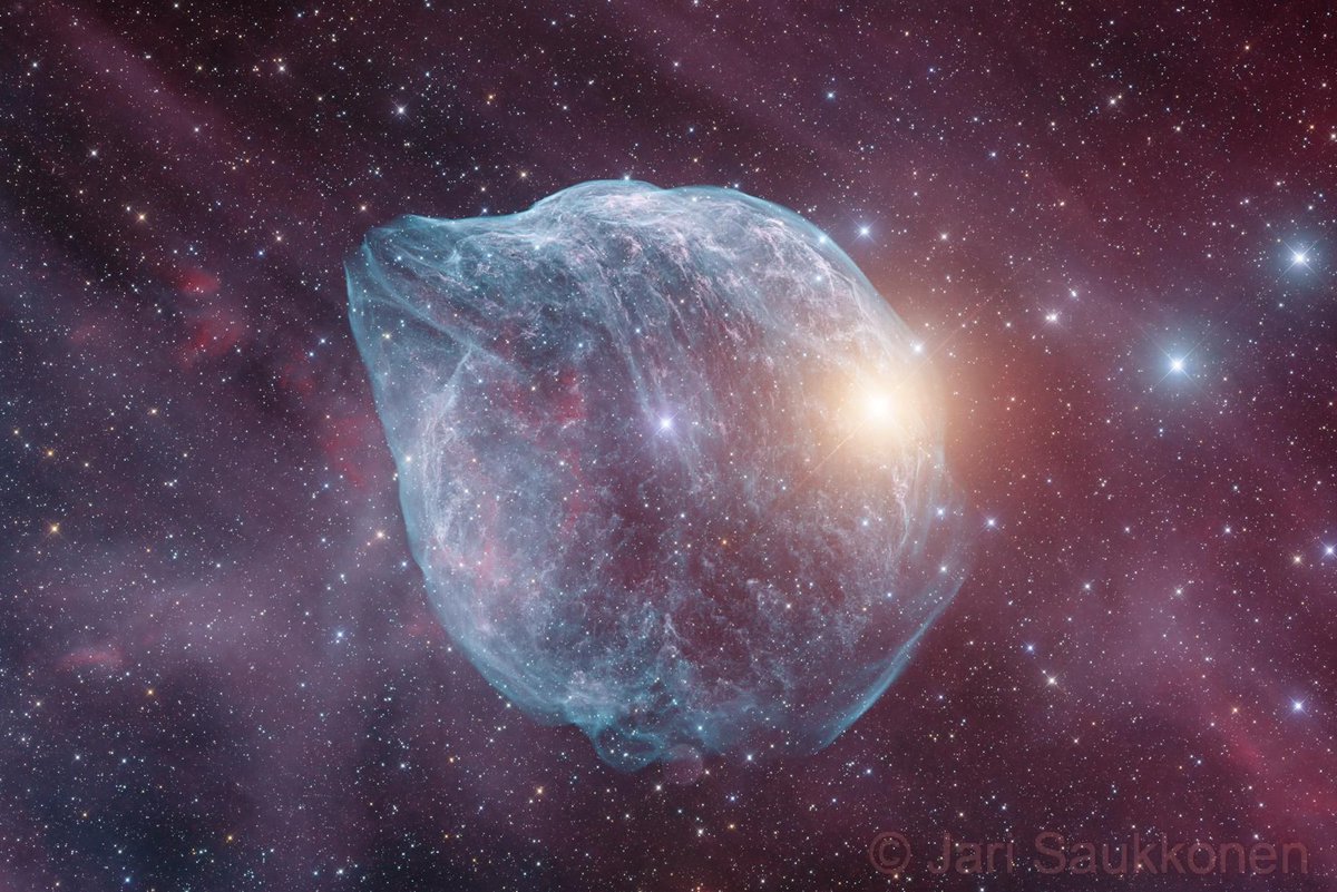 AstroBin_com's tweet photo. AstroBin's Image of the Day: "SH2-308 The Dolphin Nebula (with brains)" by Jari Saukkonen

https://t.co/ZxnwLmF1b0

#astrophotography #astronomy #astrobin #imageoftheday https://t.co/jUHgf8GjHR