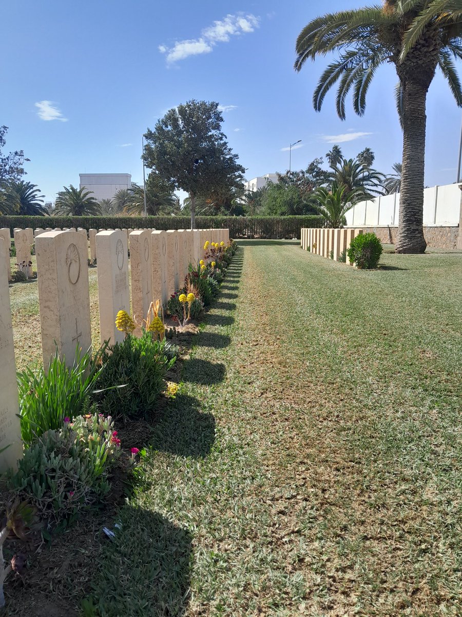 Sfax cemetry today