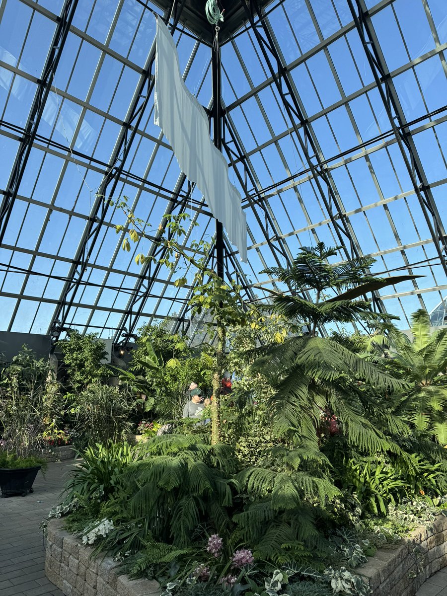 Nicole | SGE Team tweet media