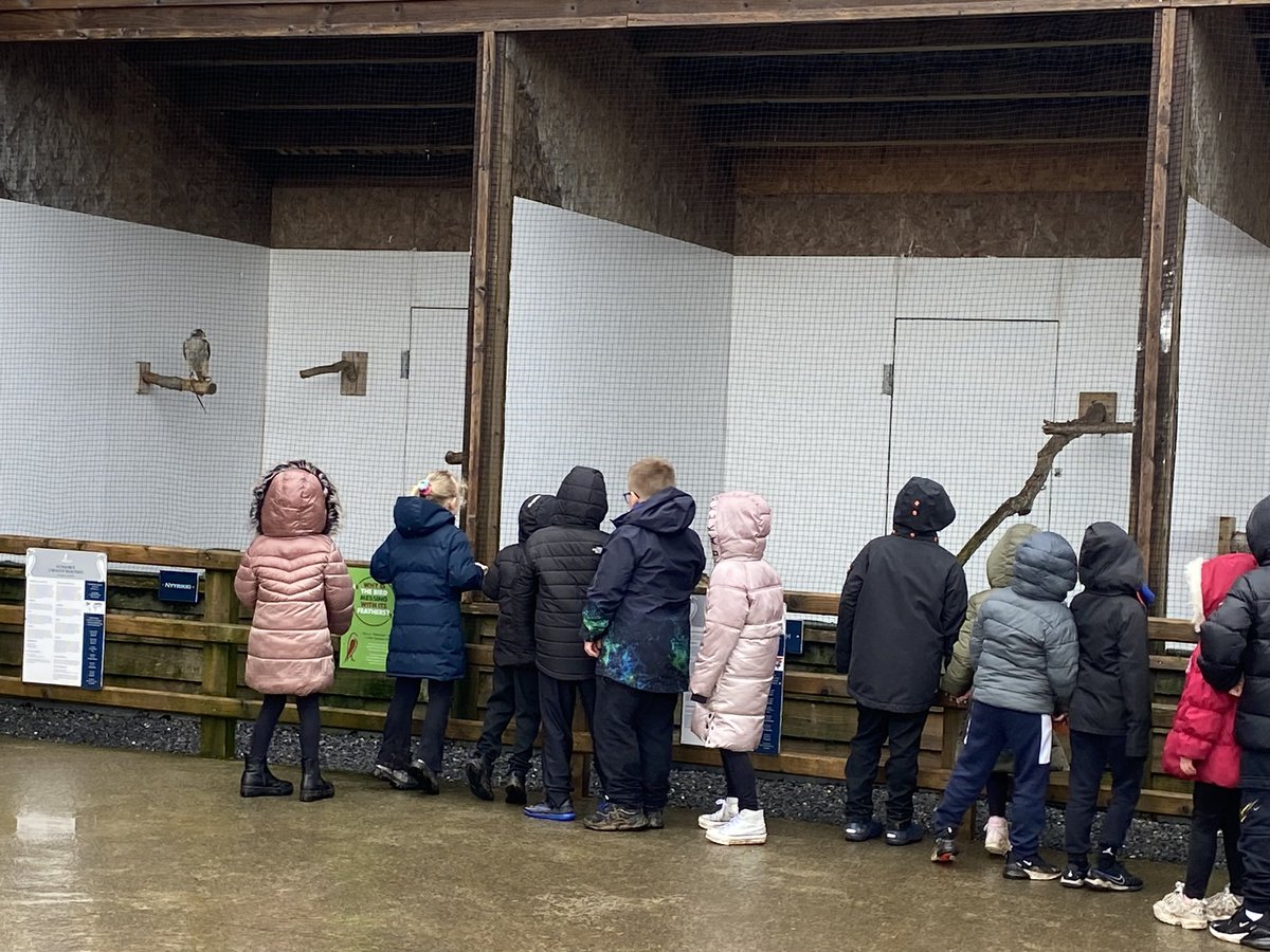 BritishBirdsofPrey tweet media