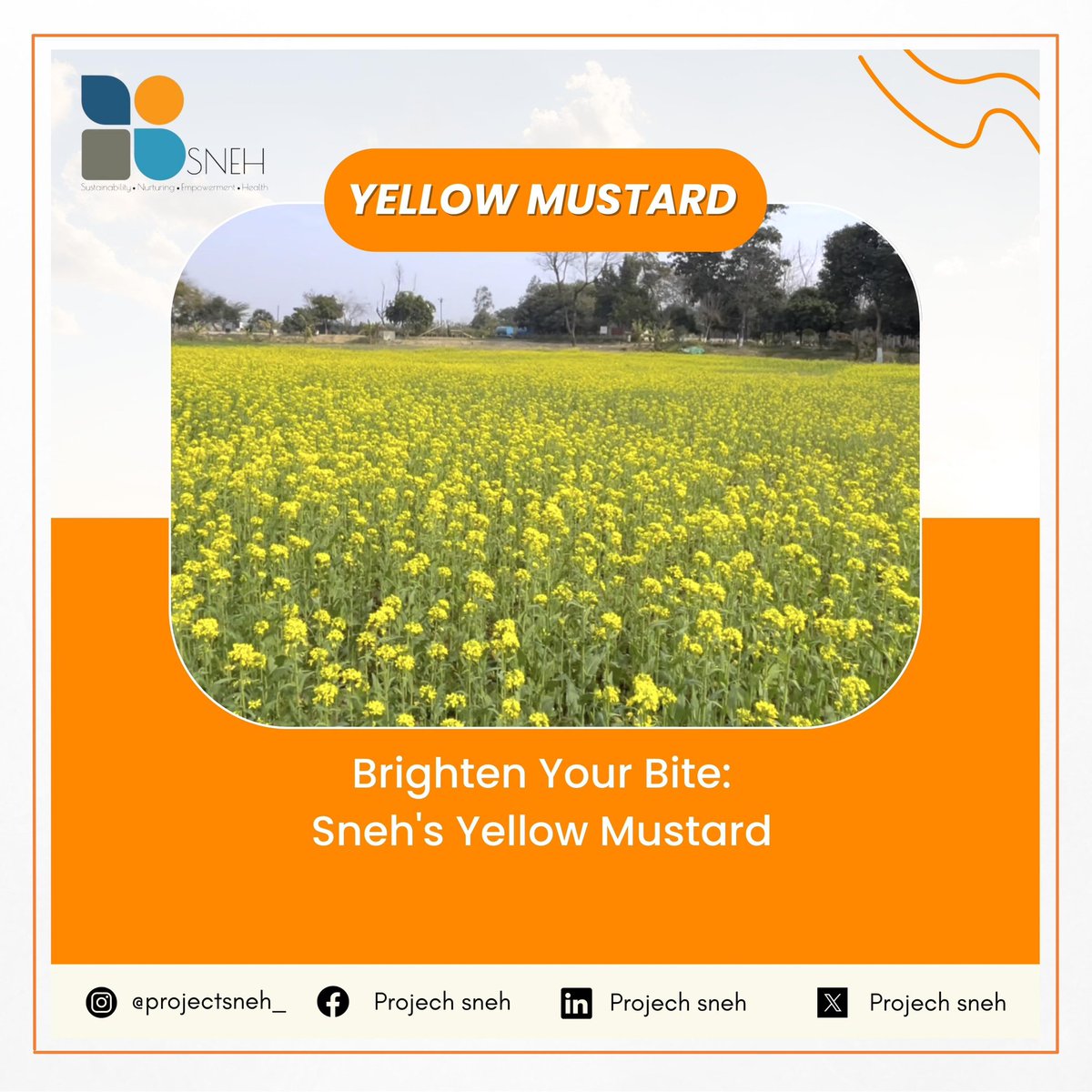 Introducing 'Brighten Your Bite: Sneh's Yellow Mustard' - a project fueled by passion and a zest for flavor.
#BrightenYourBite #SnehsYellowMustard #FlavorfulJourney #MustardMagic #CulinaryInnovation #TangyDelight #FoodieFinds #GourmetExperience