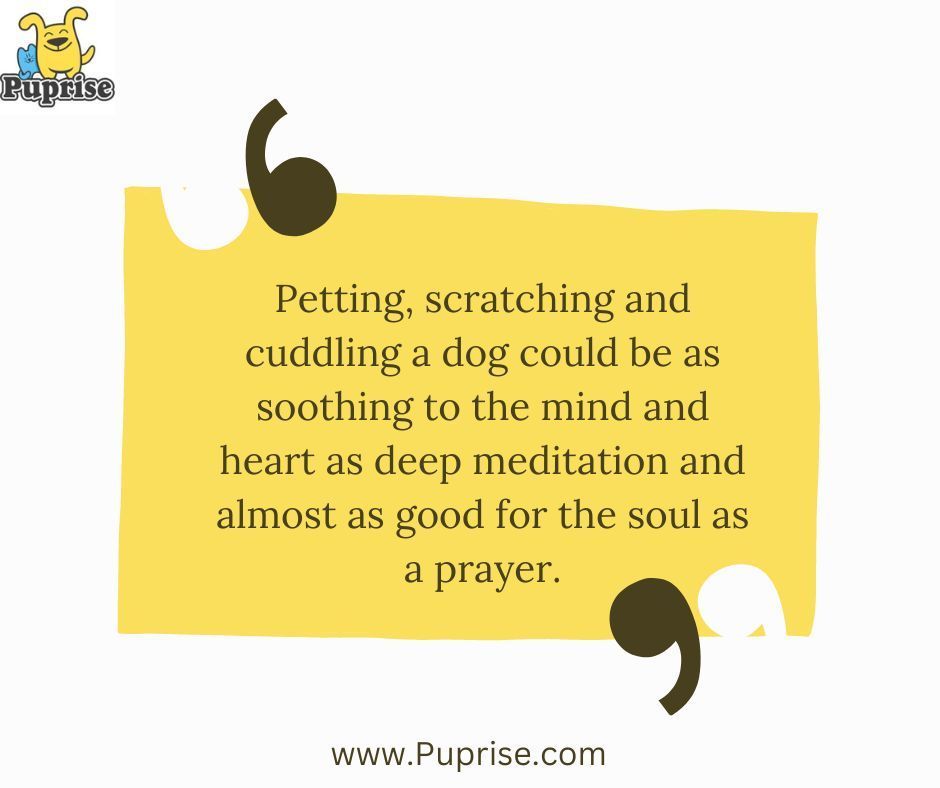 Quote of the day by puprise!!! #Puprise #petstore #petparents #petsupplies #petlovers #petfood #petfood #petfriendly #petscorner #petsofinstaworld #dogsofinstagram #catsofinstagram #doglover #catlover #pettreats