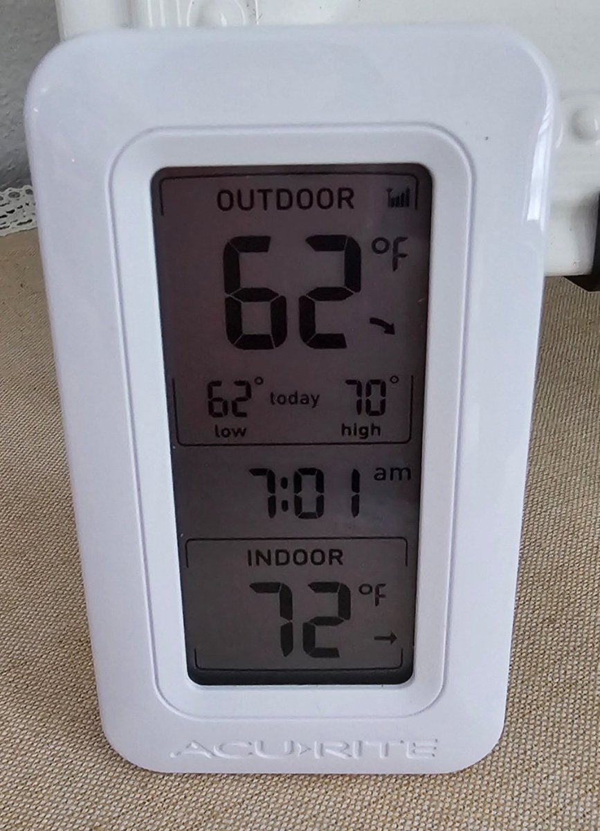 Magy tweet media