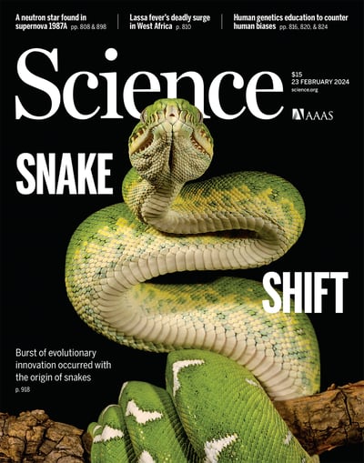 Snakes evolved in a spectacular surge 150 million years ago, involving radical innovation as predators & transforming terrestrial ecosystems: a macroevolutionary singularity @MarcEHJones NHM London with @dan_rabosky @pascal_title & al. @ScienceMagazine science.org/doi/10.1126/sc…
