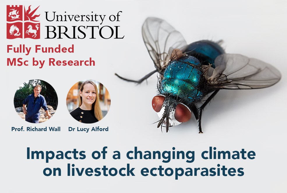 DrLucyAlford's tweet image. Get paid £18,622 to do an MRes! 

3 fully funded projects are available to work with myself, Prof. Richard Wall, and @DrChrisClements at @BristolUni @BristolBioSci 🪰🪰🪰

More information is available here 👉
bit.ly/FundedMRes