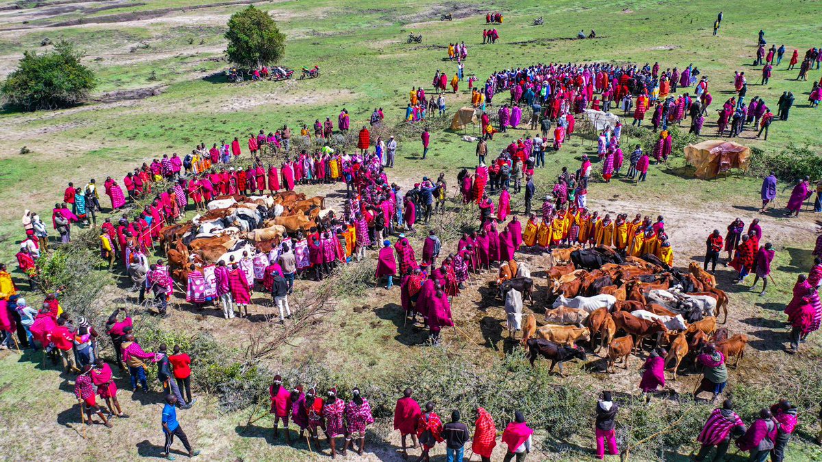 In a transformative moment of unity, the leadership team of Oxford University Pitt Rivers Museum and the Maasai community joined together for several sacred, traditional healing ceremonies. burning of homes, and the eviction and brutal killings of family members.